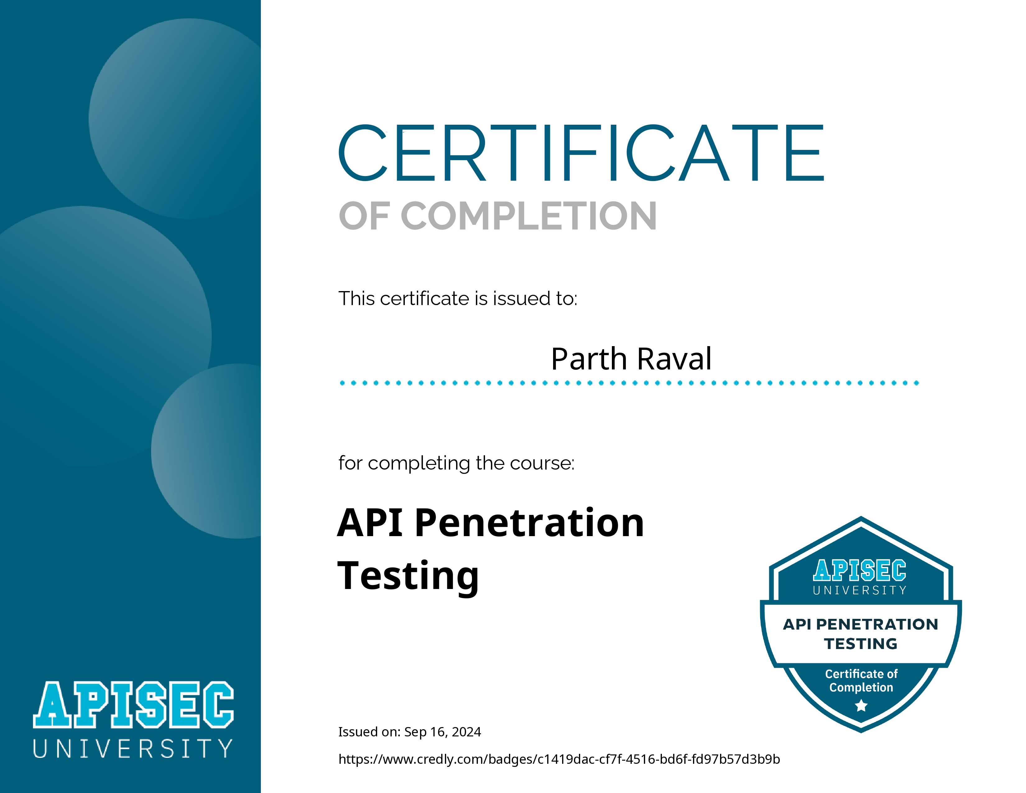 API Penetration Testing